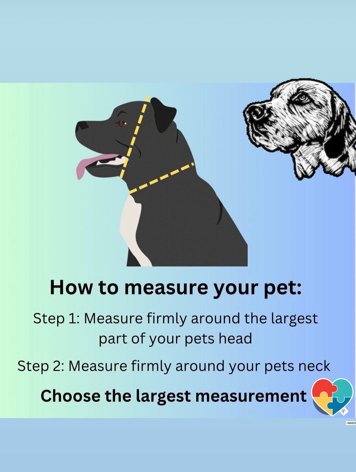 Pearl Beaded Dog Collar