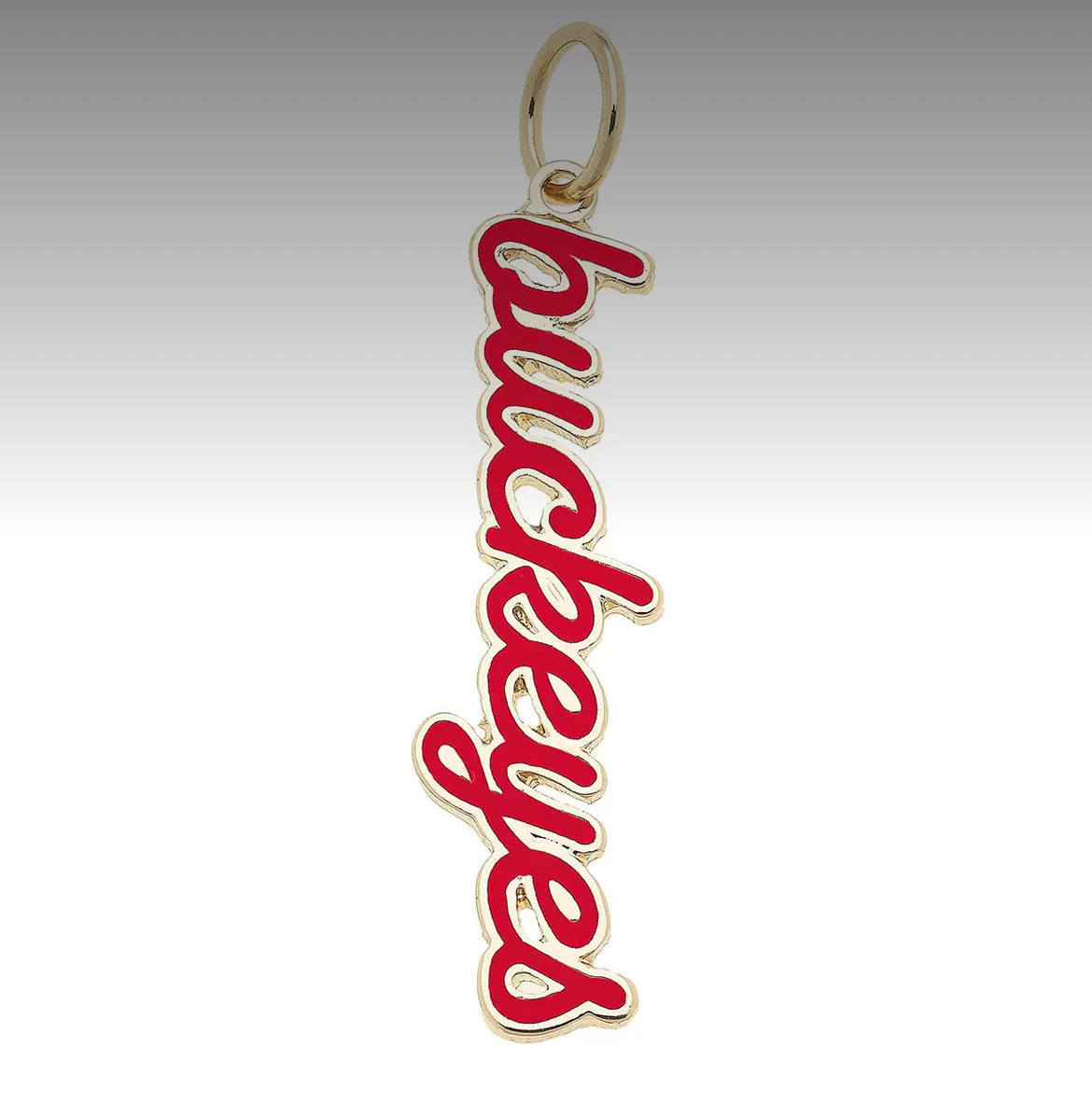 Ohio State Buckeyes Enamel Logo Charm (Canvas Style) on 18K Gold PVD Stainless Steel Paperclip Carabiner Charm Holder 18” + 2” Extension Necklace