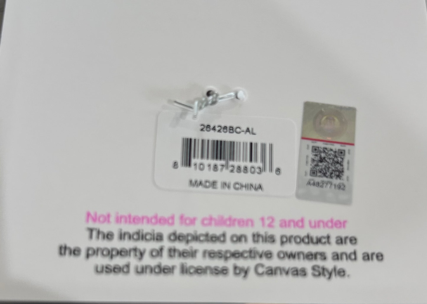 South Carolina Gamecocks Enamel Script Charm