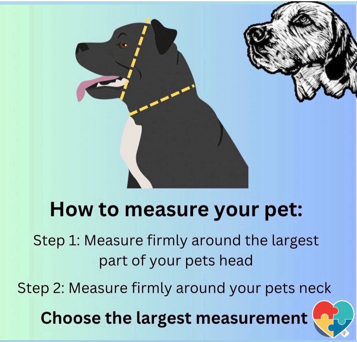 Seattle Seahawks NFL Custom Dog Collar