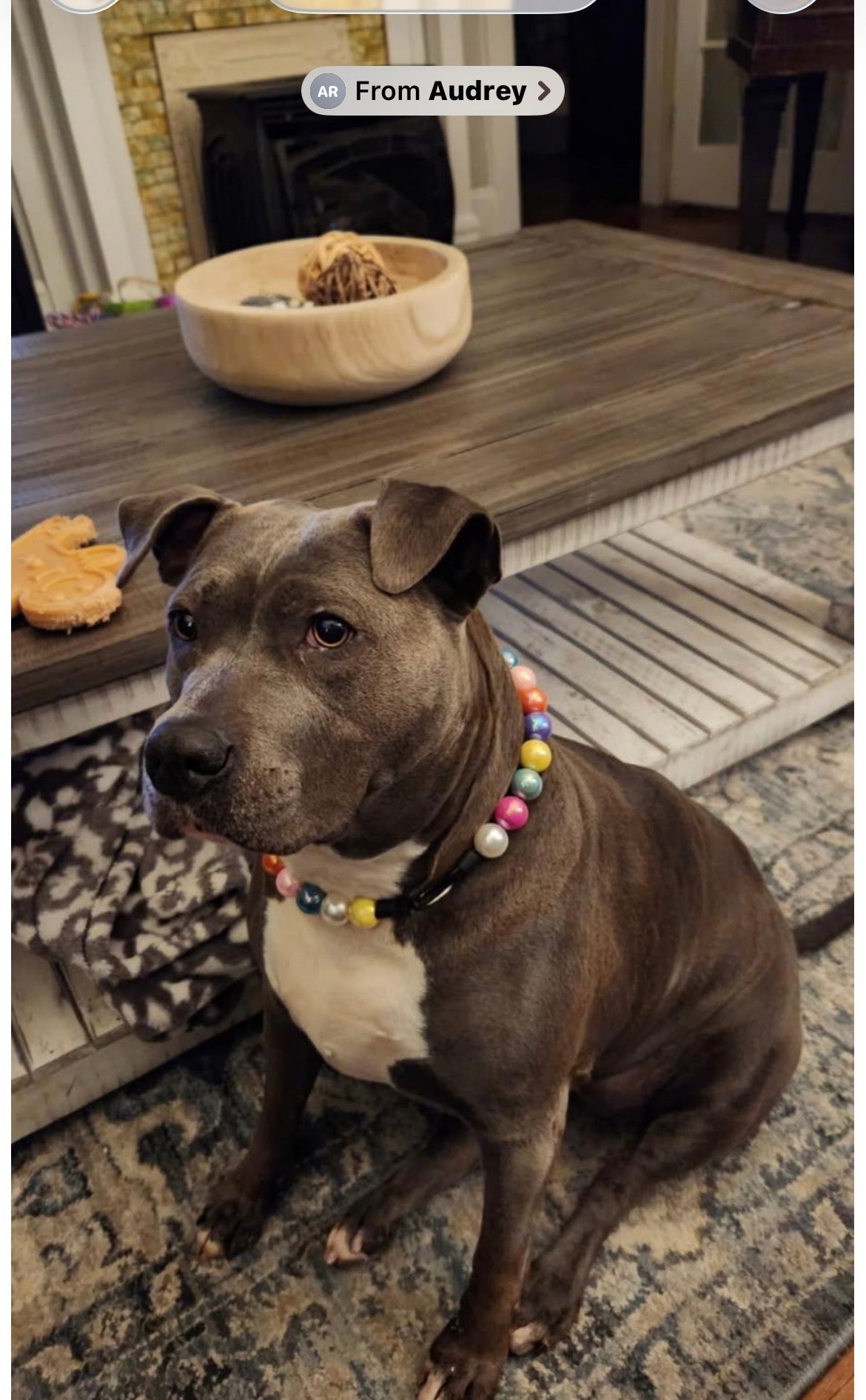 Candy Land Custom Beaded Dog Collar