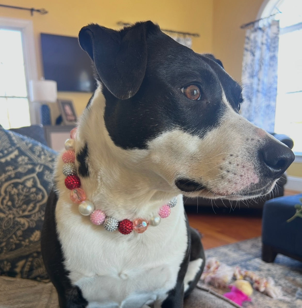 Valentines Day Custom Beaded Dog Collar