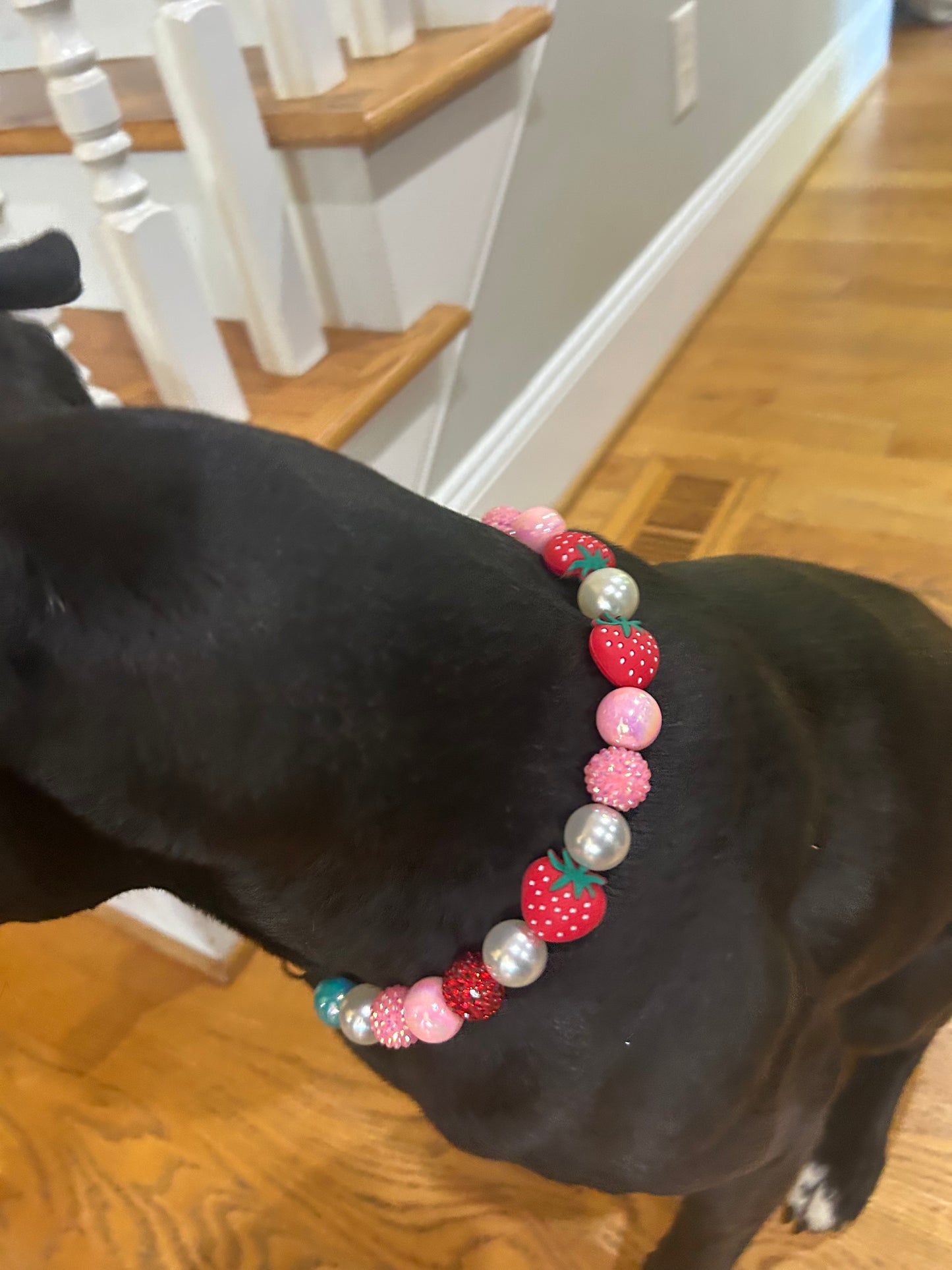 Custom Strawberry Themed Pet Collar